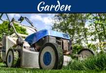 The Top 5 Pruning Tips And Tricks The Top 5 Pruning Tips And Tricks