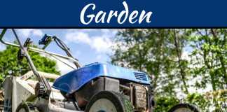 The Top 5 Pruning Tips And Tricks The Top 5 Pruning Tips And Tricks