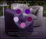 Arhaus_psyofcolor_purple_v01