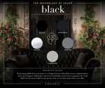 arhaus-psyofcolor-black