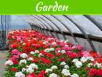 Easy Ways to Keep Your Garden Nursery Health Easy Ways to Keep Your Garden Nursery Health