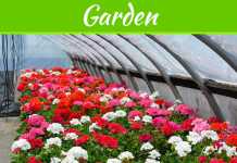 Easy Ways to Keep Your Garden Nursery Health Easy Ways to Keep Your Garden Nursery Health