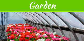 Easy Ways to Keep Your Garden Nursery Health Easy Ways to Keep Your Garden Nursery Health