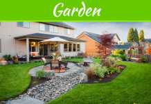 The Art of Landscaping: 5 Updates for Your Yard This Summer The Art of Landscaping: 5 Updates for Your Yard This Summer