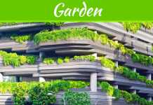 Rooftop Gardens – Amazing Benefits And Tips To Create One Rooftop Gardens - Amazing Benefits And Tips To Create One