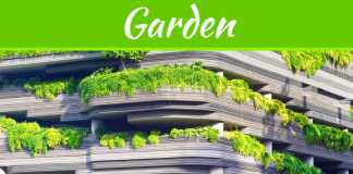 Rooftop Gardens – Amazing Benefits And Tips To Create One Rooftop Gardens - Amazing Benefits And Tips To Create One