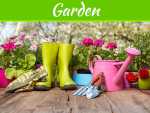 Tools That A Professional Gardener Will Require Tools That A Professional Gardener Will Require