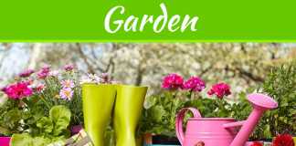 Tools That A Professional Gardener Will Require Tools That A Professional Gardener Will Require