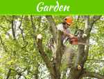 What Affects The Cost Of A Tree Trimming Job? What Affects The Cost Of A Tree Trimming Job?