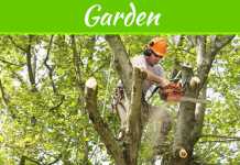 What Affects The Cost Of A Tree Trimming Job? What Affects The Cost Of A Tree Trimming Job?