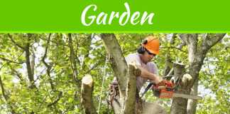 What Affects The Cost Of A Tree Trimming Job? What Affects The Cost Of A Tree Trimming Job?