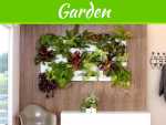 5 Easy Ways to Bring Nature Indoors