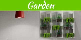 5 Easy Ways To Bring Nature Indoors 5 Easy Ways To Bring Nature Indoors