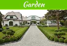 7 Landscaping Tips For Beginners 7 Landscaping Tips For Beginners