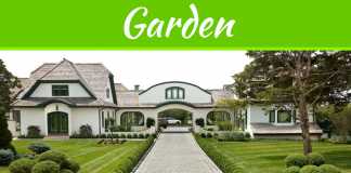 7 Landscaping Tips For Beginners 7 Landscaping Tips For Beginners