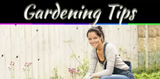 Gardening Tips For Beginners: 9 Simple Ways To Grow With Confidence 9 Gardening Tips For Beginners