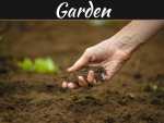Free Non-toxic & Effective Soil Amendments from Rubbish Removal Free Non-toxic & Effective Soil Amendments from Rubbish Removal