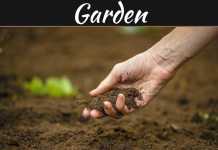 Free Non-toxic & Effective Soil Amendments from Rubbish Removal Free Non-toxic & Effective Soil Amendments from Rubbish Removal