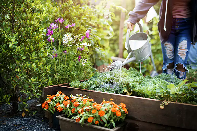 Healthy Garden Healthy Garden