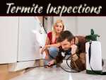 How Regular Termite Inspections Protect Your Home? How Regular Termite Inspections Protect Your Home?