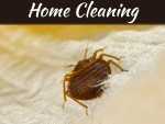 How To Control Bed Bugs How To Control Bed Bugs