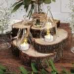 Log slices and terrarium