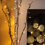 Twig lights