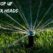 Best Pop Up Sprinkler Heads