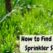 How To Find Leak In Sprinkler System