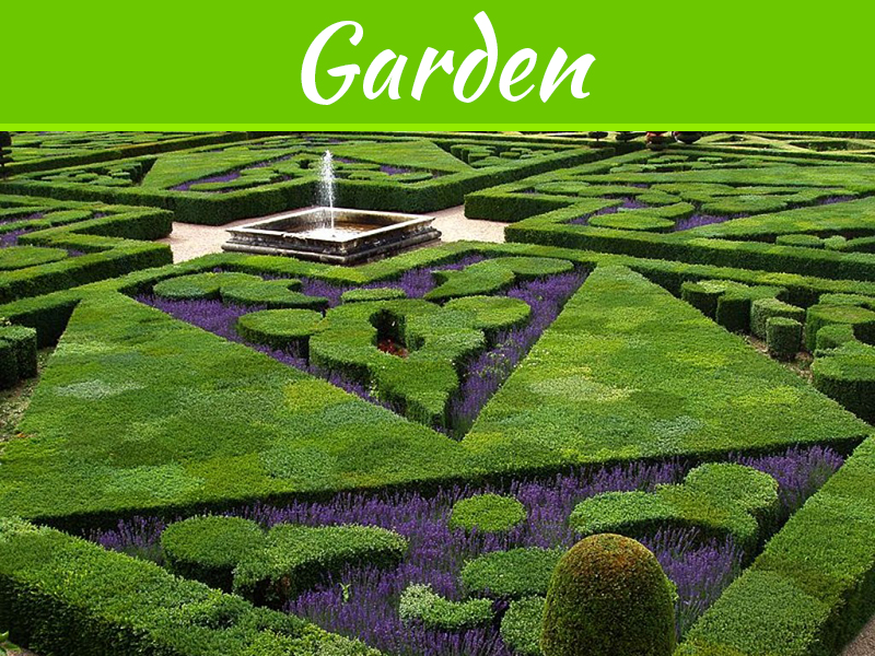 Are You Looking For A Landscape Contractor? Here Are A Few Tips To Consider