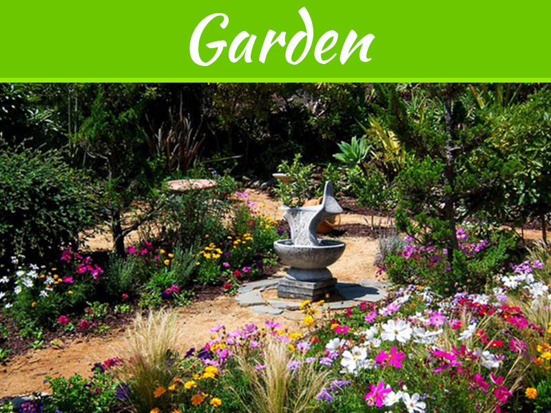 Autumn Gardening: How To Care For Your Fall-Blooming Flowers