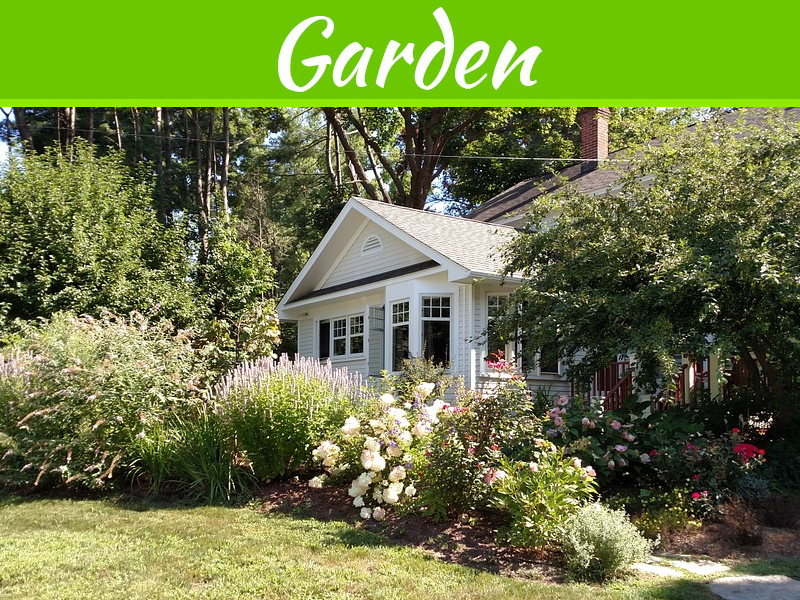 5 Simple Gardening Tips To Keep Your Yard Looking Trim