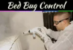 Bed Bug Control Tips: 7 Proven Ways To Eliminate Infestations At Home Bed Bug Control Tips: 7 Proven Ways To Eliminate Infestations At Home