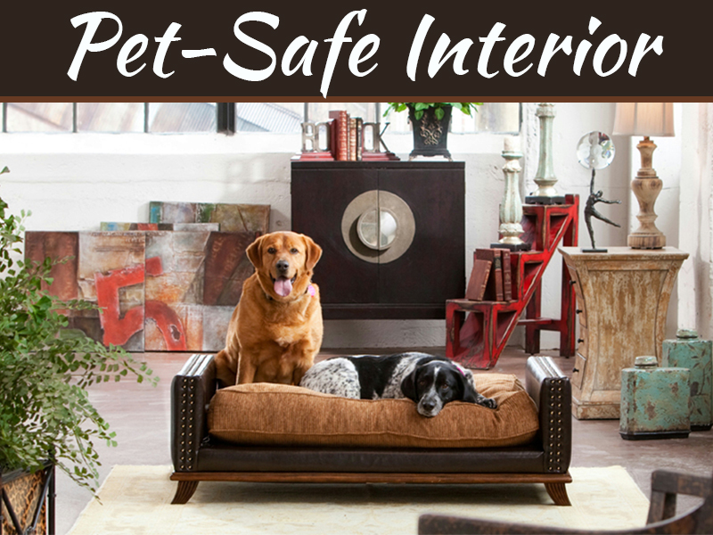 Home Interior Design Tips For Making Your Home Pet-Safe Home Interior Design Tips For Making Your Home Pet-Safe
