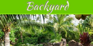 Backyard Decoration Ideas For Garden This Summer Backyard Decoration Ideas For Garden This Summer