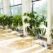 planting
