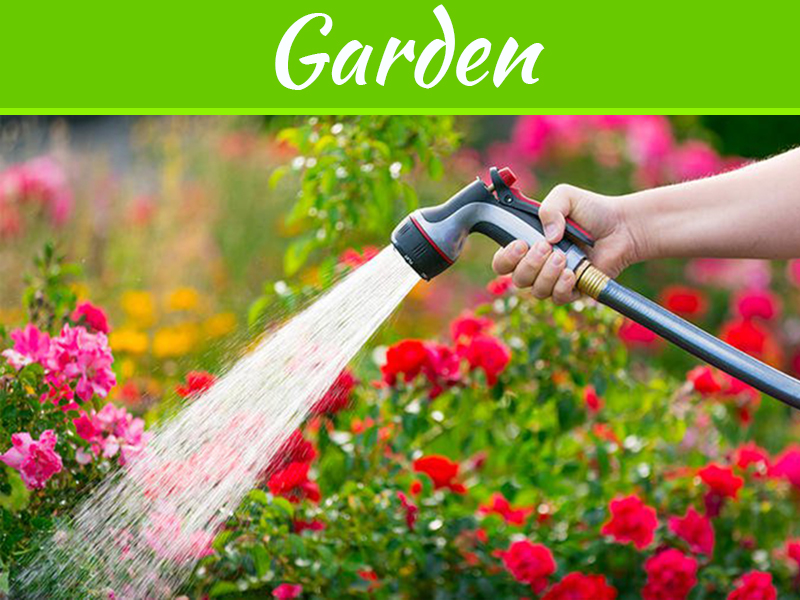 8 Tips For Conserving Water In Your Lawn And Garden