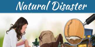 Five Facts Of Making A Residential Complex Earthquake-Resistant Five Facts Of Making A Residential Complex Earthquake-Resistant