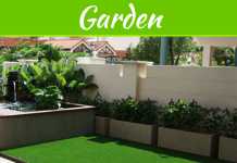 5 Things To Consider Before Buying Your First Artificial Grass Decor 5 Things To Consider Before Buying Your First Artificial Grass Decor