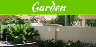 5 Things To Consider Before Buying Your First Artificial Grass Decor 5 Things To Consider Before Buying Your First Artificial Grass Decor