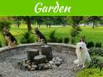 5 Tips For Keeping Pets Out Of The Garden 5 Tips For Keeping Pets Out Of The Garden
