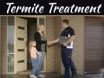 Everything You Need To Know About Termites Everything You Need To Know About Termites