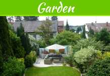 How To Have The Best Looking Yard On The Block How To Have The Best Looking Yard On The Block