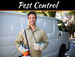 Retaining Reputation – How Commercial Pest Control Can Reduce Risk To Your Business Retaining Reputation - How Commercial Pest Control Can Reduce Risk To Your Business