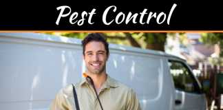 Retaining Reputation – How Commercial Pest Control Can Reduce Risk To Your Business Retaining Reputation - How Commercial Pest Control Can Reduce Risk To Your Business