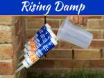 Rising Damp Could Be Secretly Ruining Your Home – Here’s How Rising Damp Could Be Secretly Ruining Your Home - Here’s How