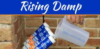 Rising Damp Could Be Secretly Ruining Your Home – Here’s How Rising Damp Could Be Secretly Ruining Your Home - Here’s How