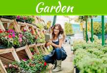 5 Cool Landscaping Projects For Your Backyard The Health Benefits Of Gardening