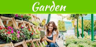 5 Tips To Creating A Garden At Home The Health Benefits Of Gardening