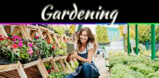 The Health Benefits Of Gardening The Health Benefits Of Gardening